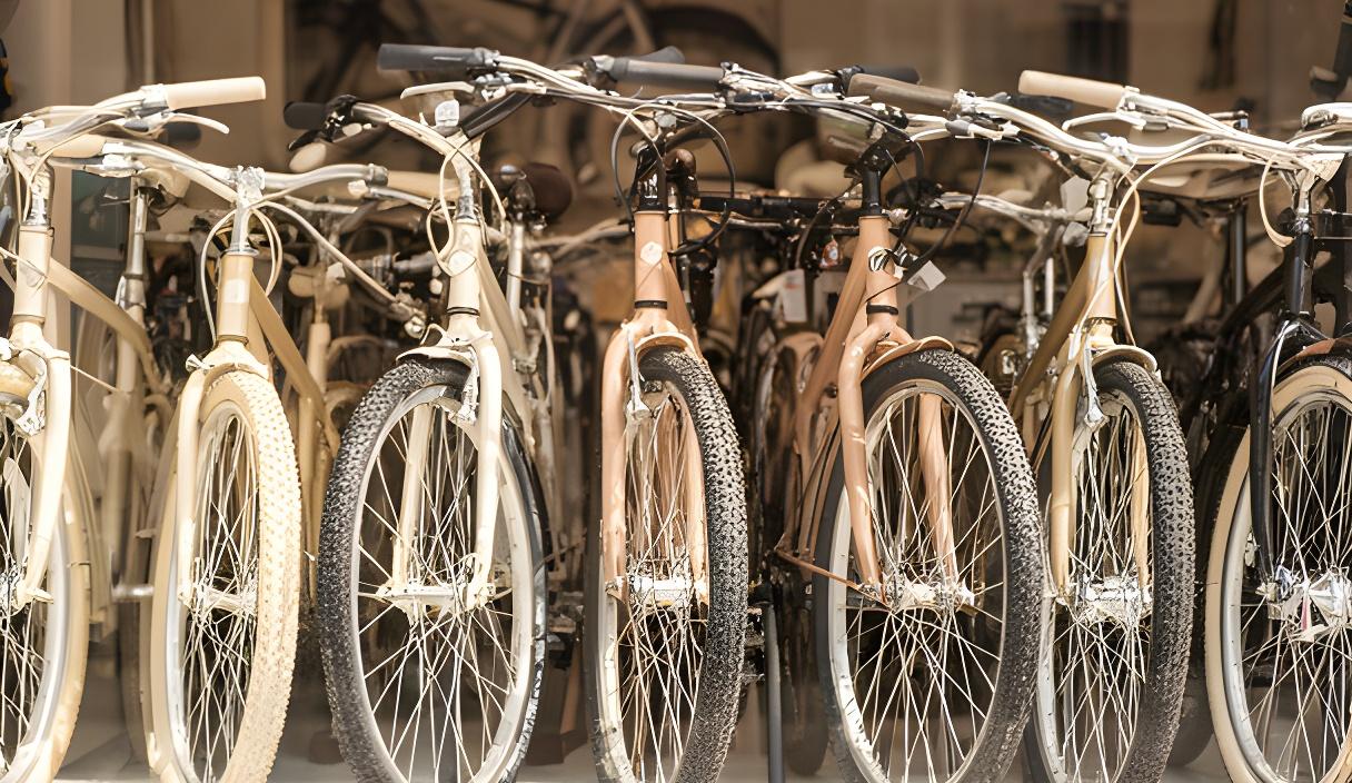Fila de bicicletas na montra da loja em Tondela, com quadros alinhados e luz natural